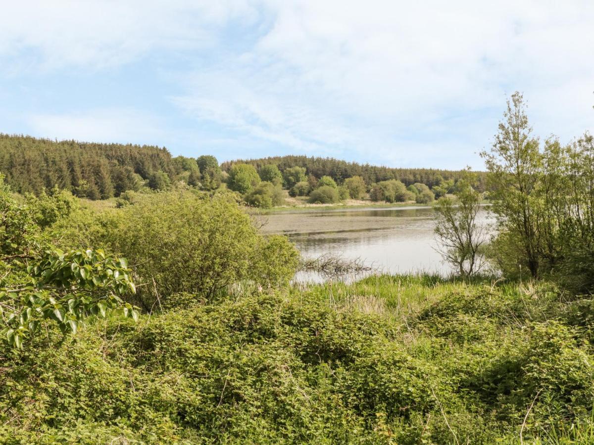 Willa Bwlch Y Gwynt Bach Llangefni Zewnętrze zdjęcie