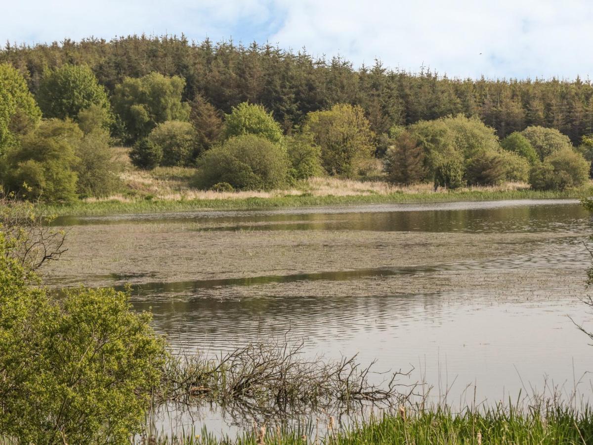 Willa Bwlch Y Gwynt Bach Llangefni Zewnętrze zdjęcie
